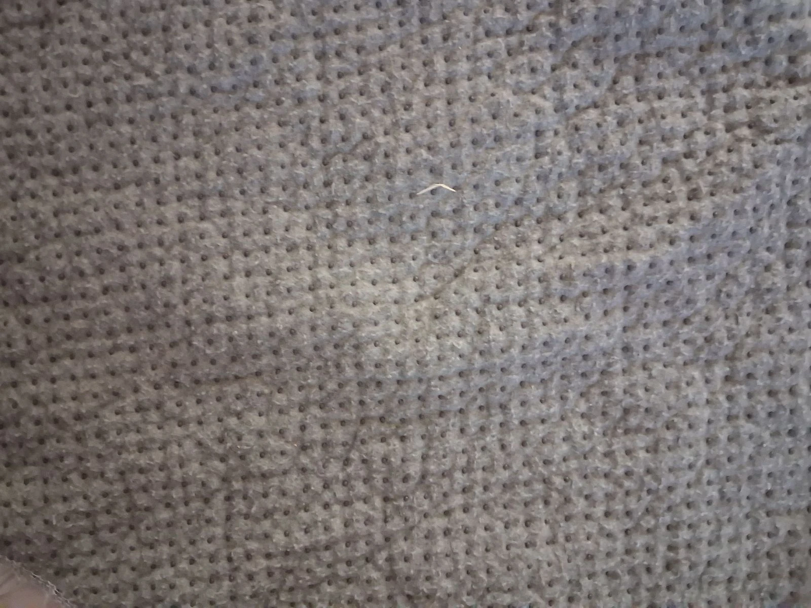 Tapete cinza – photo 3